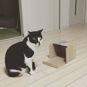 11692610_1007189195967113_4725904805950118169_n