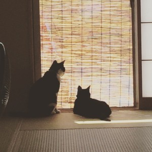 22792_994578840561482_2454251269992541241_n